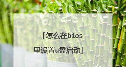 如何通过电脑BIOS设置U盘启动（简单易懂的操作指南）