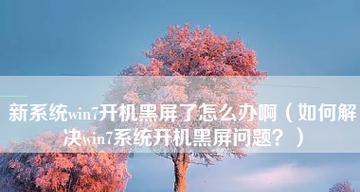 电脑黑屏问题的解决方法（教你如何快速解决电脑黑屏的困扰）