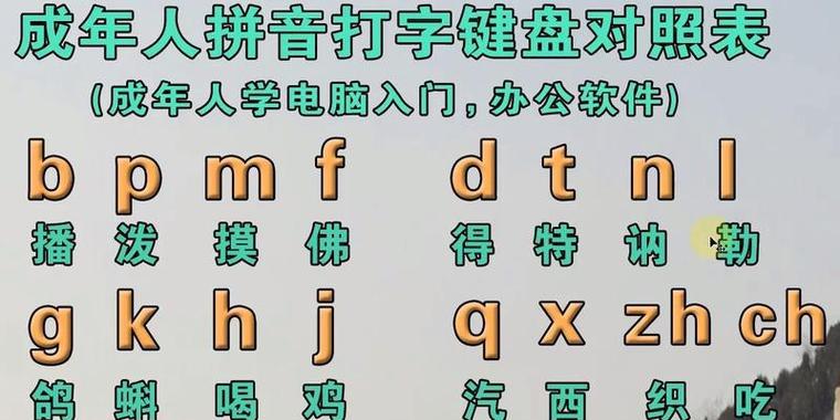 如何提高打字速度的方法与技巧（快速打字的关键诀窍和练习方法）