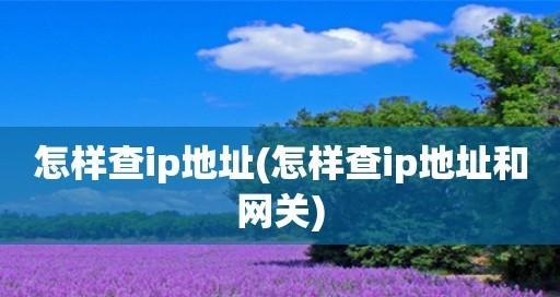 如何查看我的IP（简单教你一招）